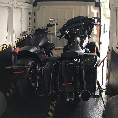 52797686_2518960101512265_2617896813042073600_n